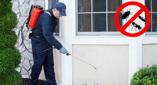 Gölcük Böcek İlaçlama böcek ilaçlama ve haşere kontrolü — ilaclama-tr.com